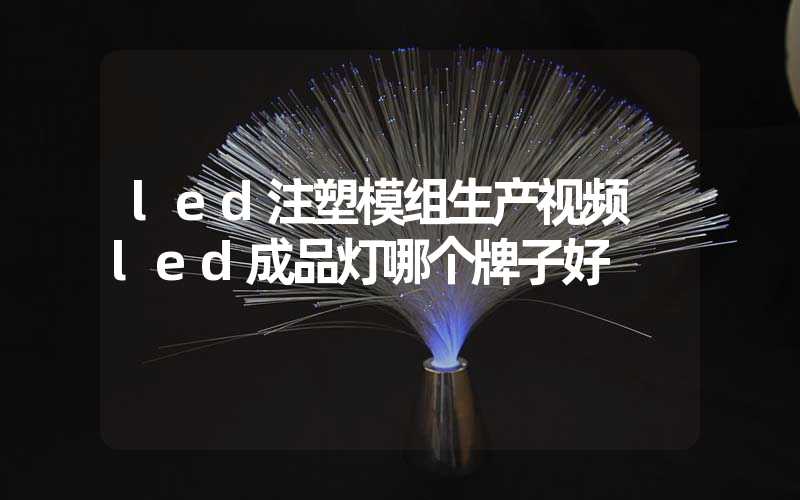 led注塑模组生产视频 led成品灯哪个牌子好